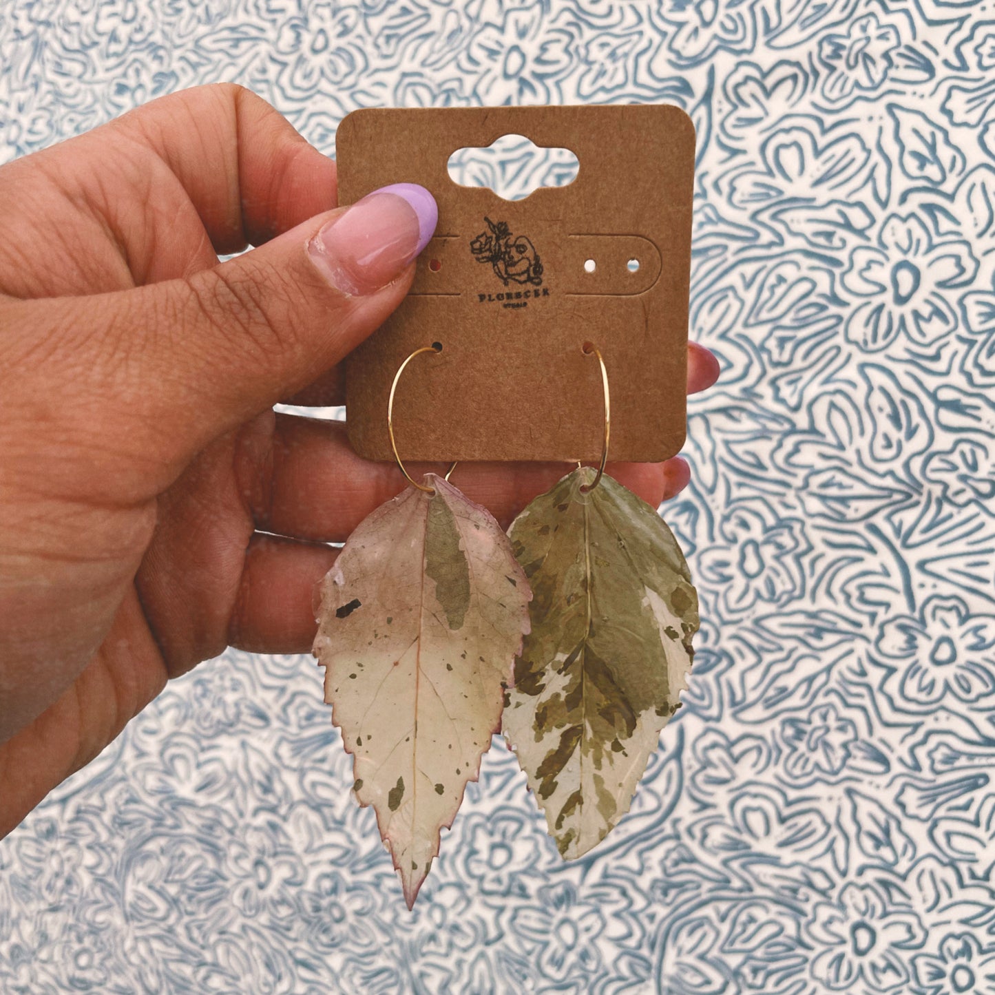 EVERGREENS - HIBISCUS LEAVES