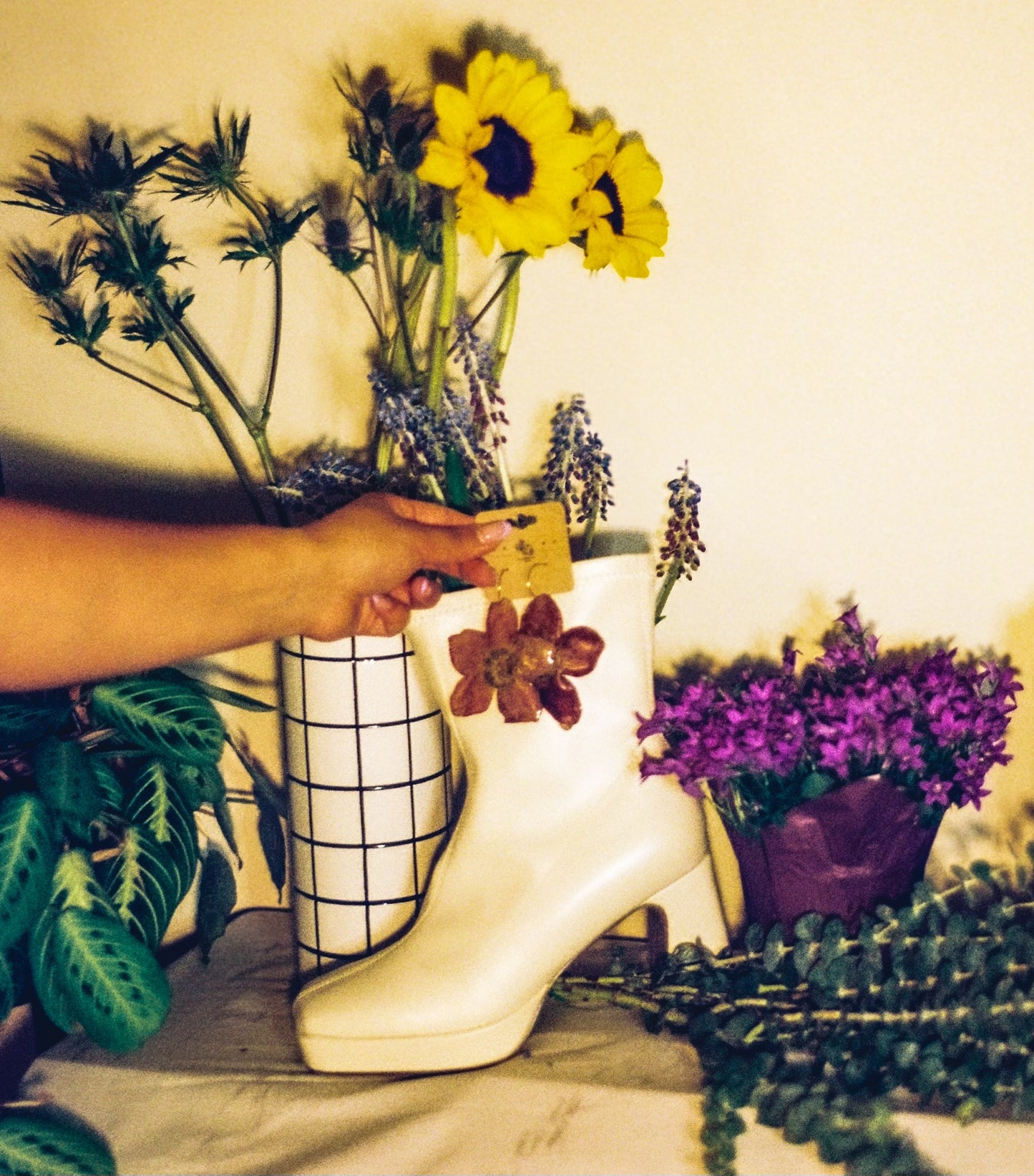 WILD BLOOM - FREE SPIRIT