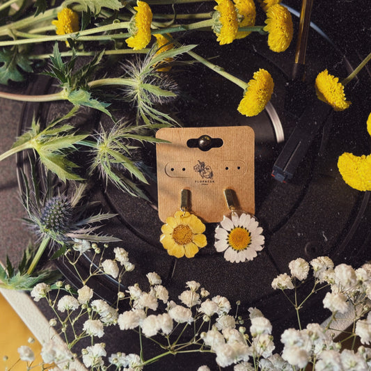 WILD BLOOM - WHITE & YELLOW DAISIES MISMATCH