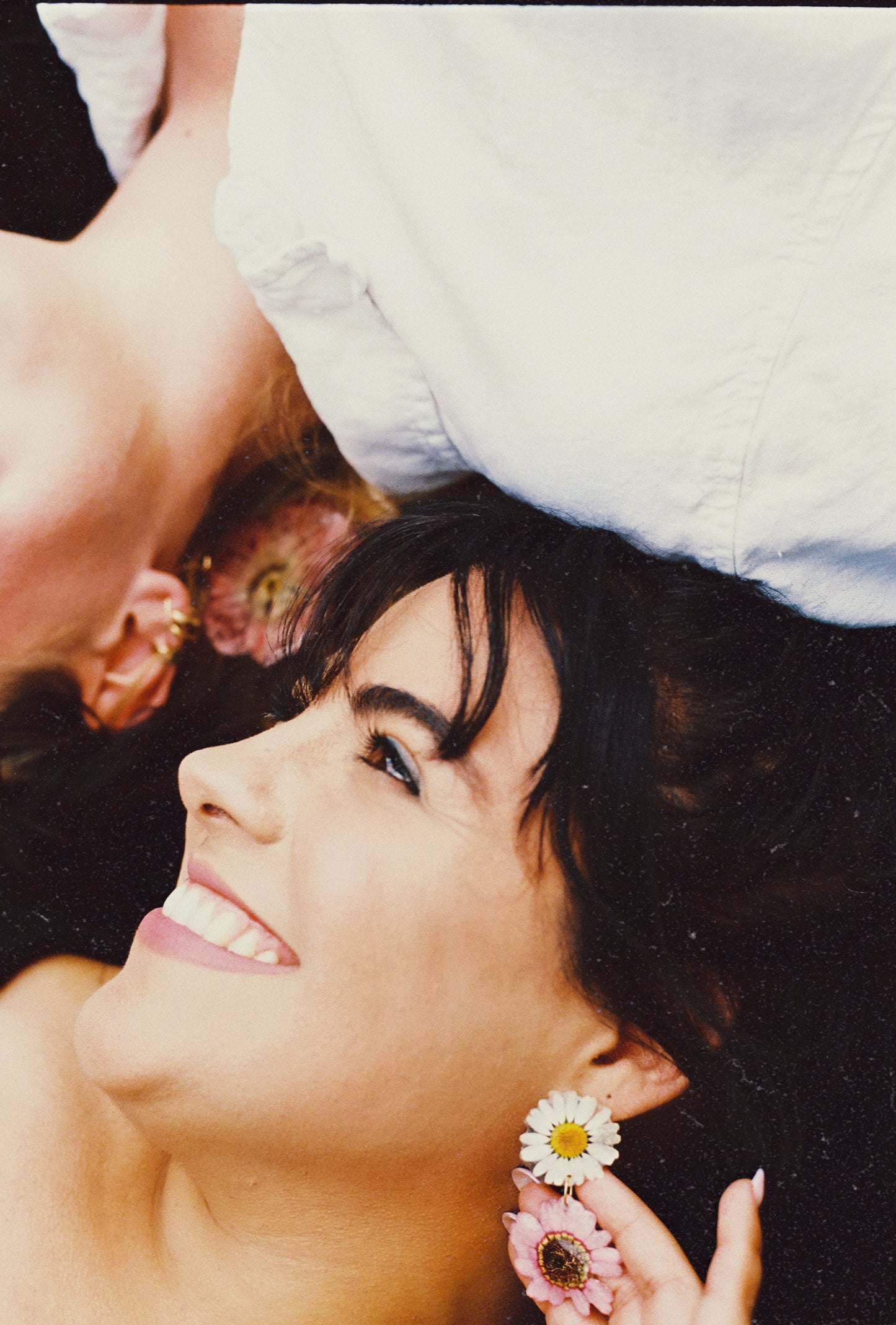 WILD BLOOM - DAISY & PURPLE ASTERANAE