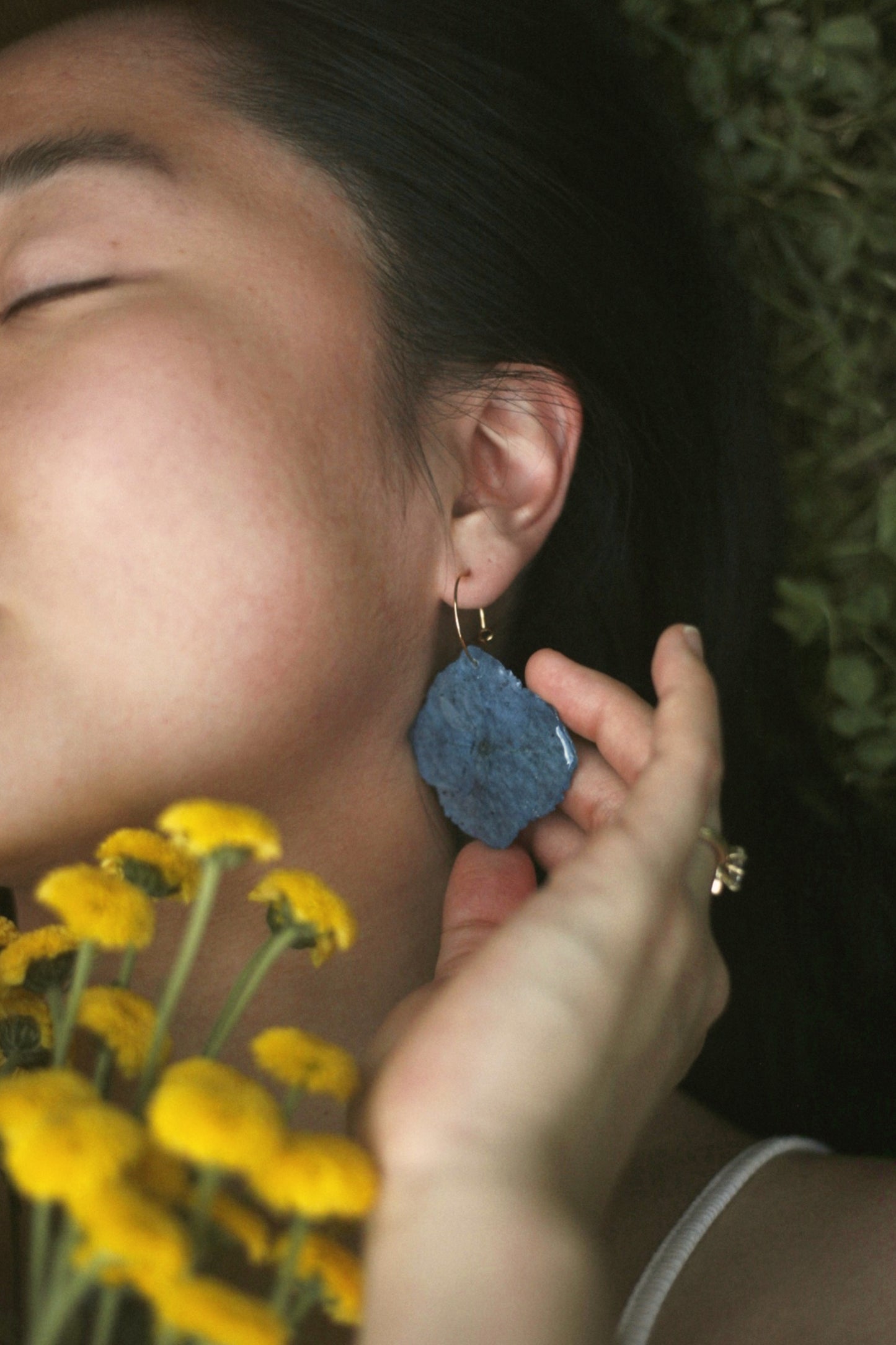 WILD BLOOM - BLUE HYDRANGEA