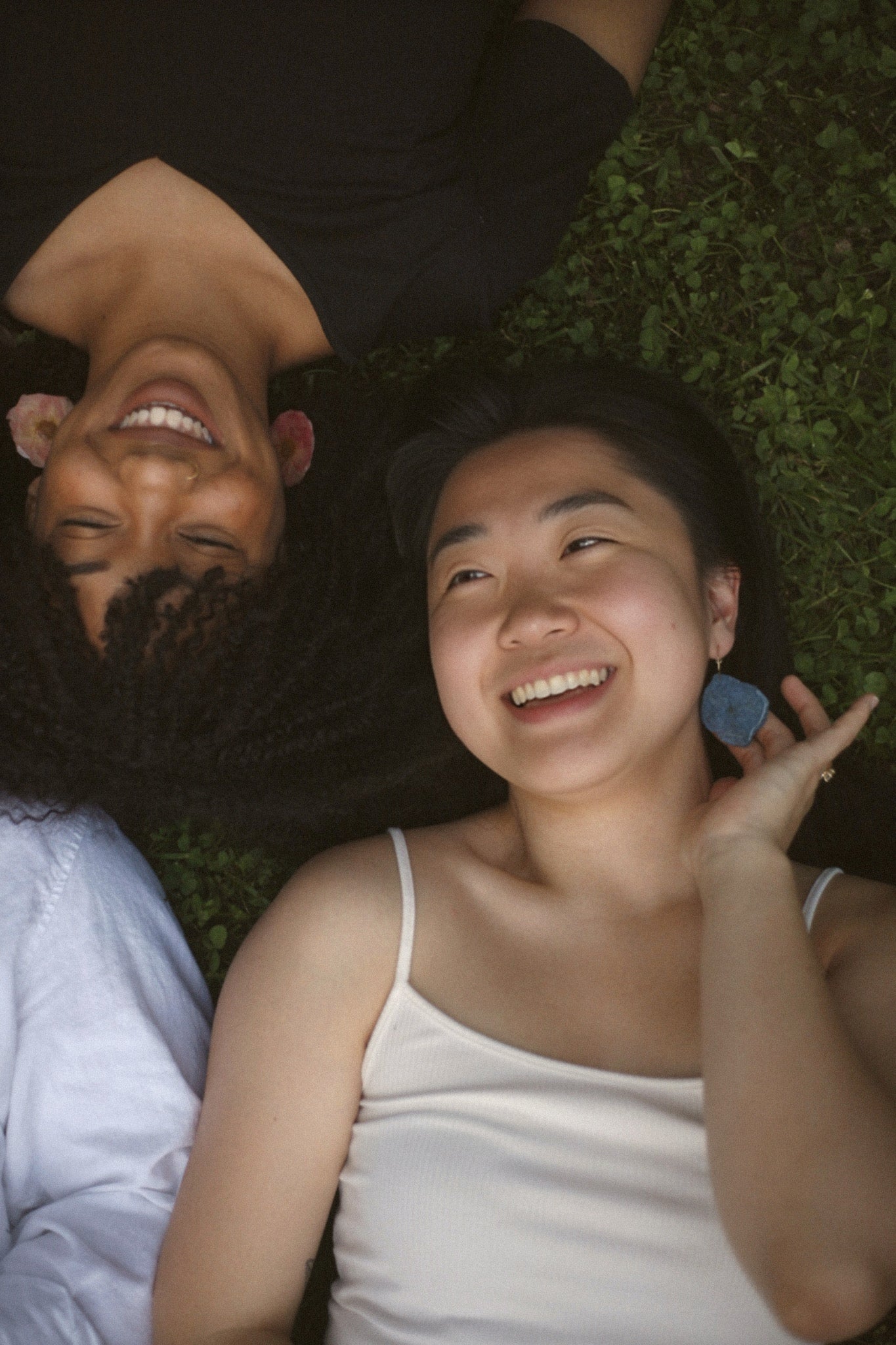 WILD BLOOM - BLUE HYDRANGEA