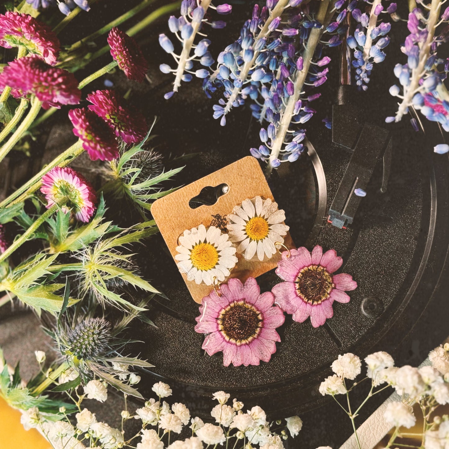 WILD BLOOM - DAISY & PURPLE ASTERANAE