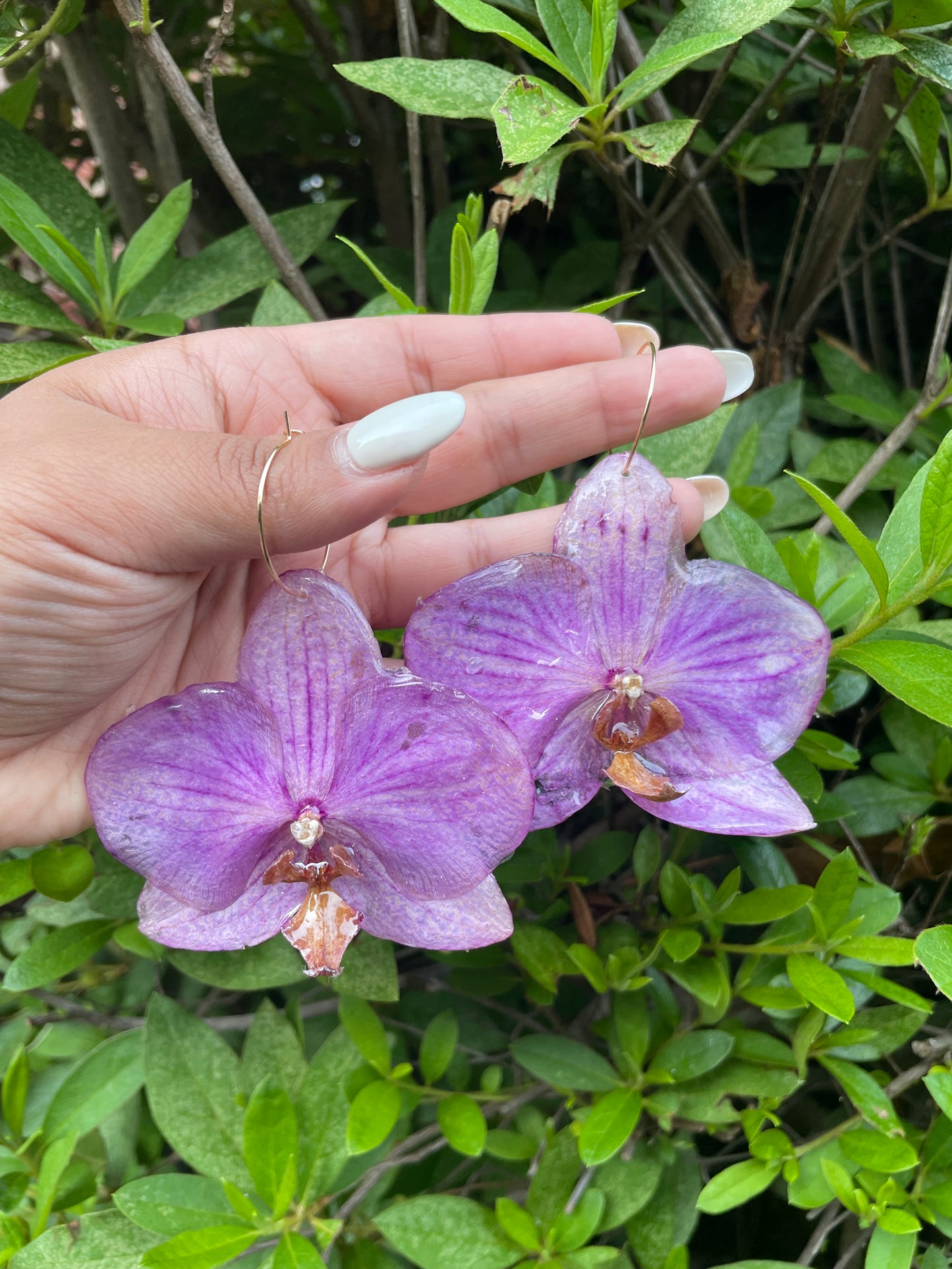 ORCHID - AMETHYST