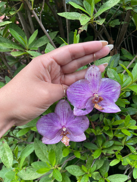 ORCHID - AMETHYST
