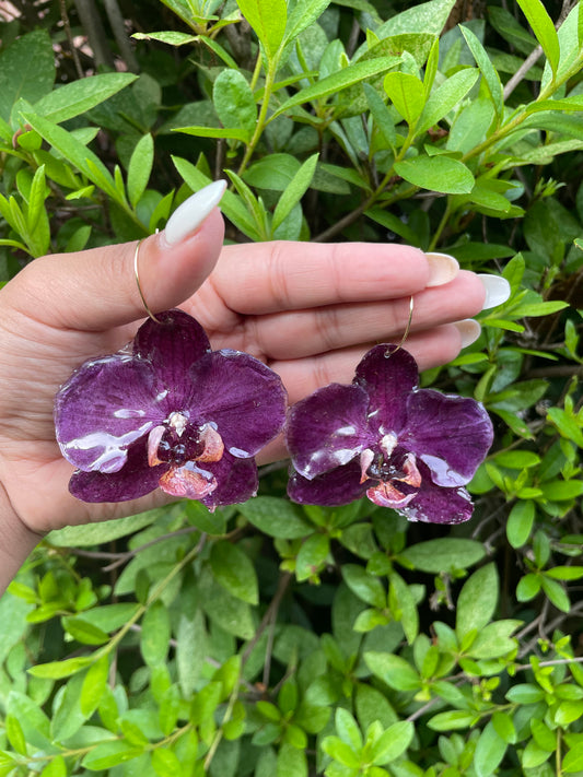 ORCHID - VIOLET