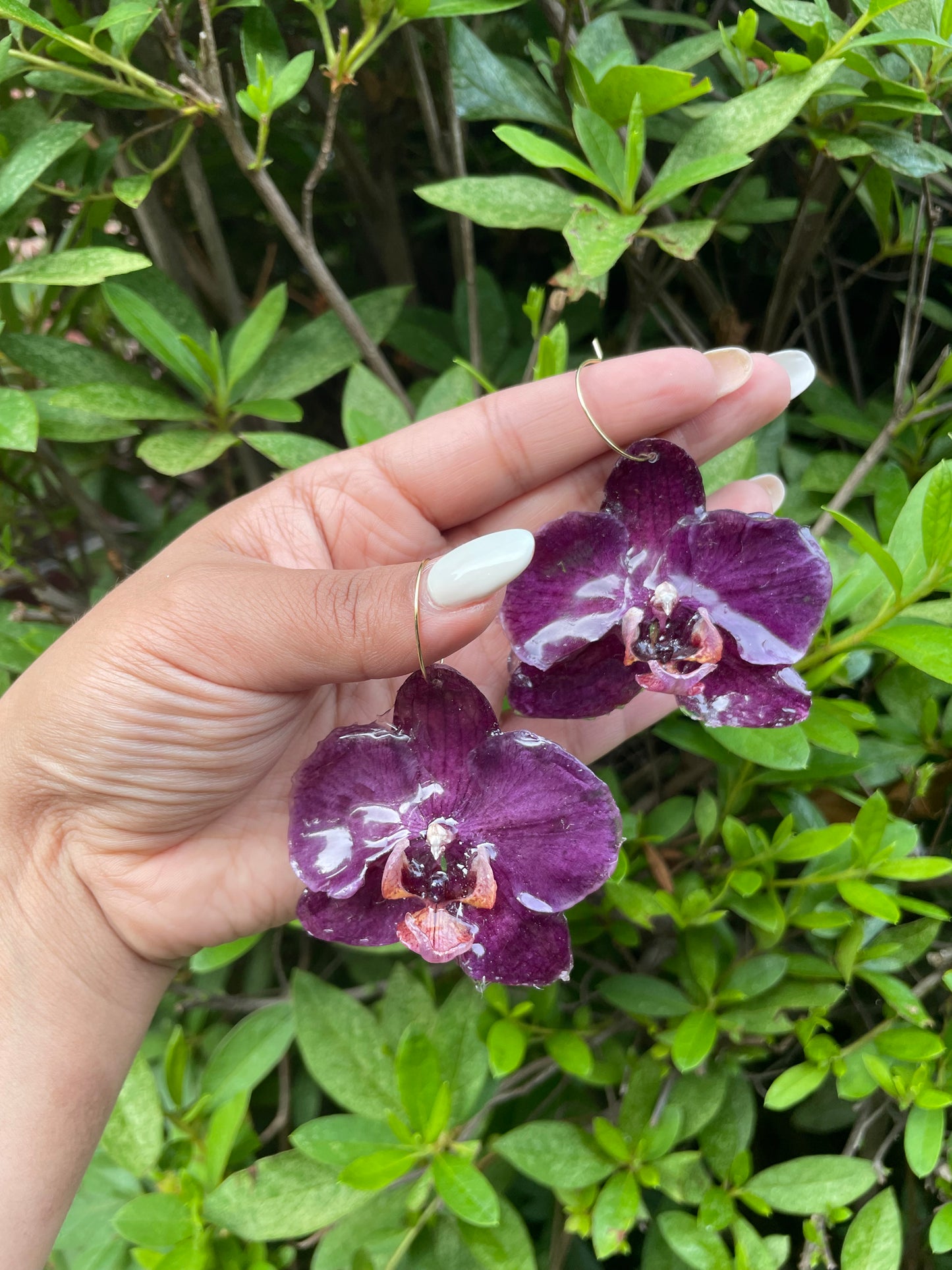 ORCHID - VIOLET