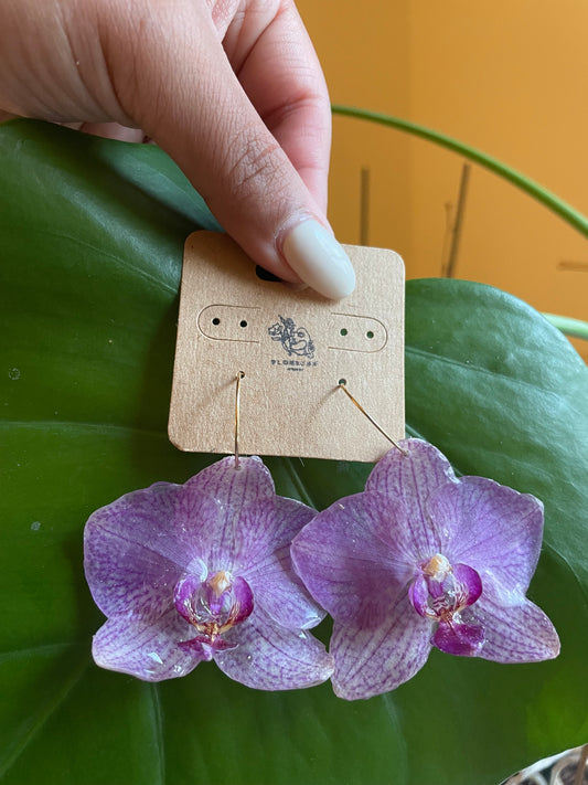 ORCHID - STRIPEY