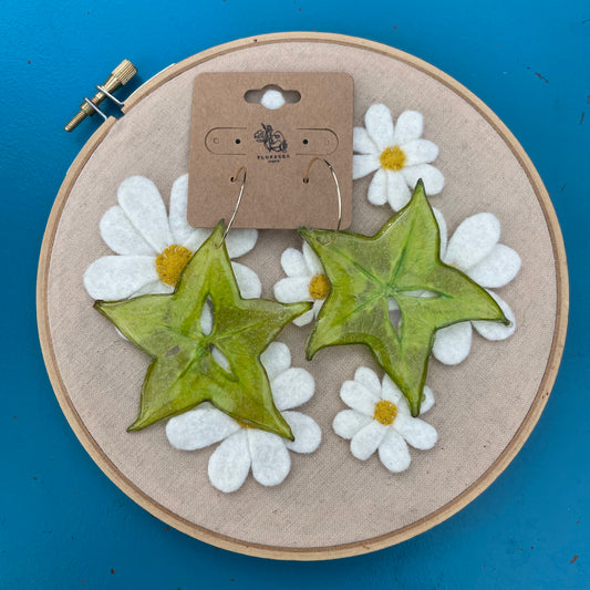 FRUIT HOOPS - STAR FRUIT