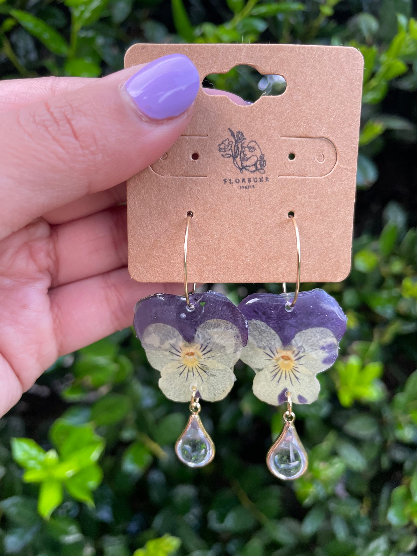 WILD BLOOM - PANSY FIESTA THREE