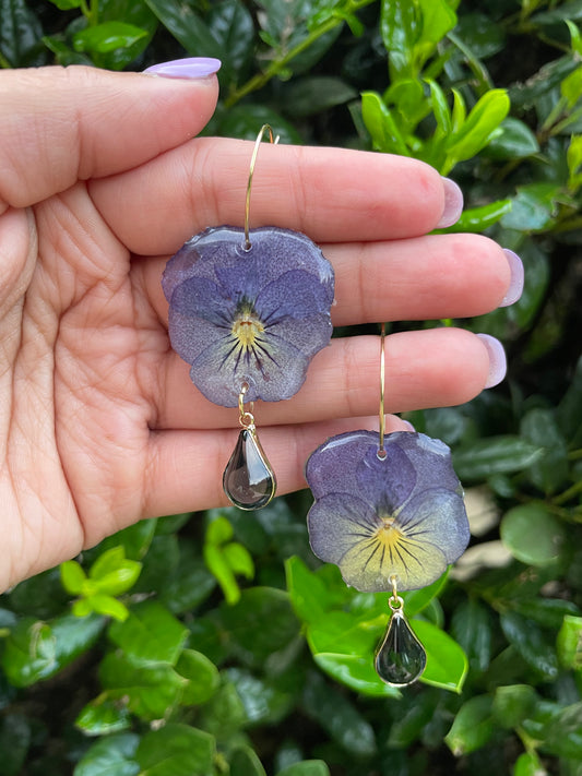 WILD BLOOM - PANSY FIESTA TWO