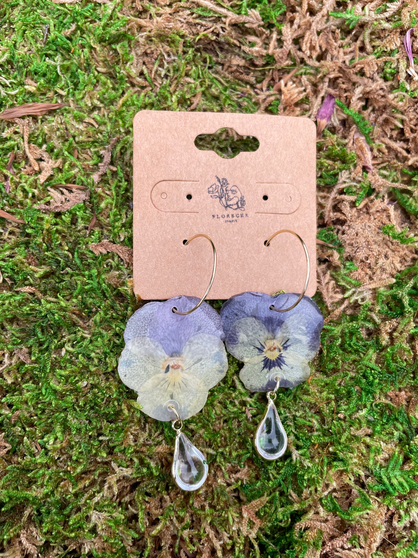 WILD BLOOM - PANSY FIESTA ONE