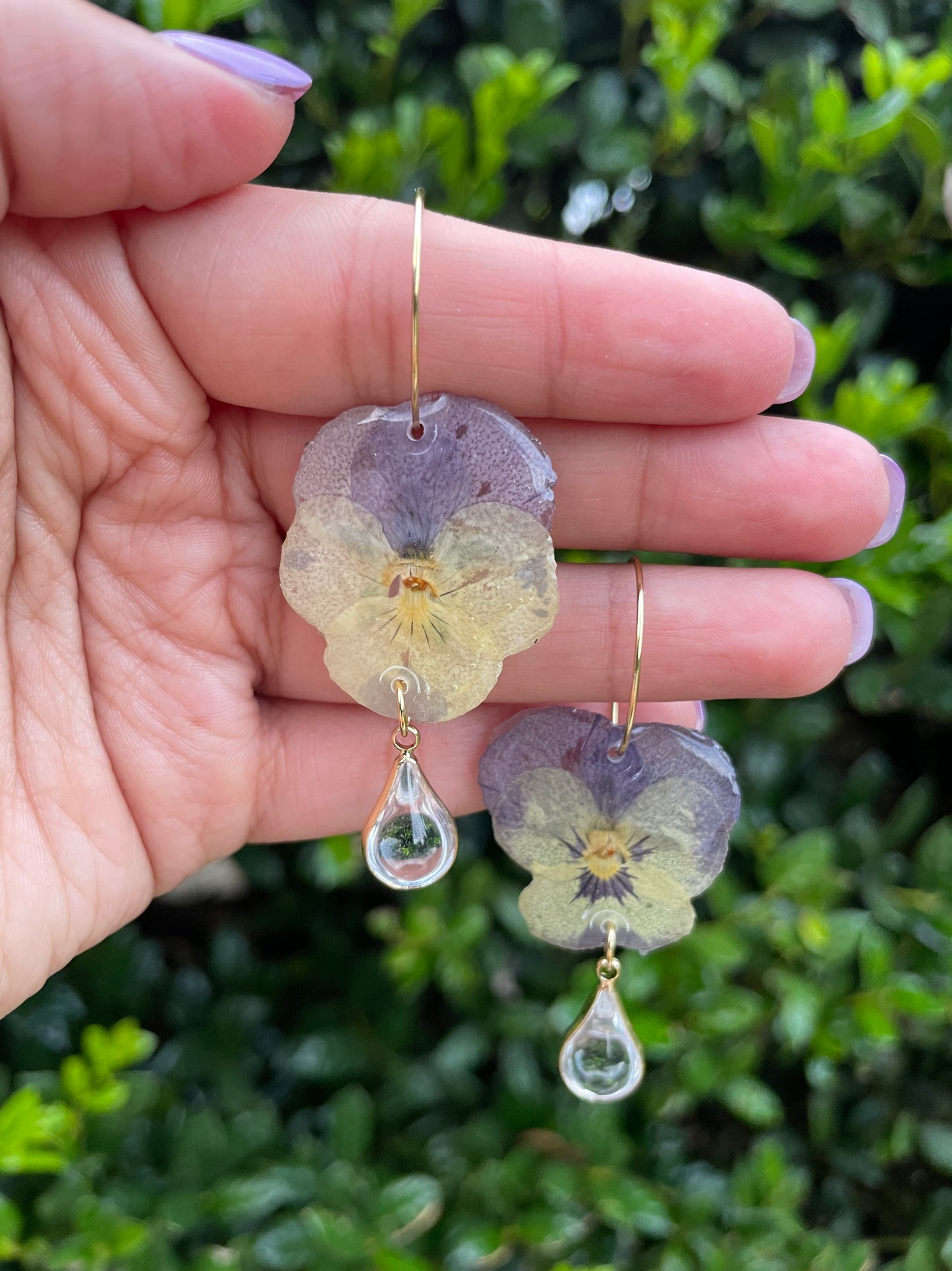 WILD BLOOM - PANSY FIESTA ONE
